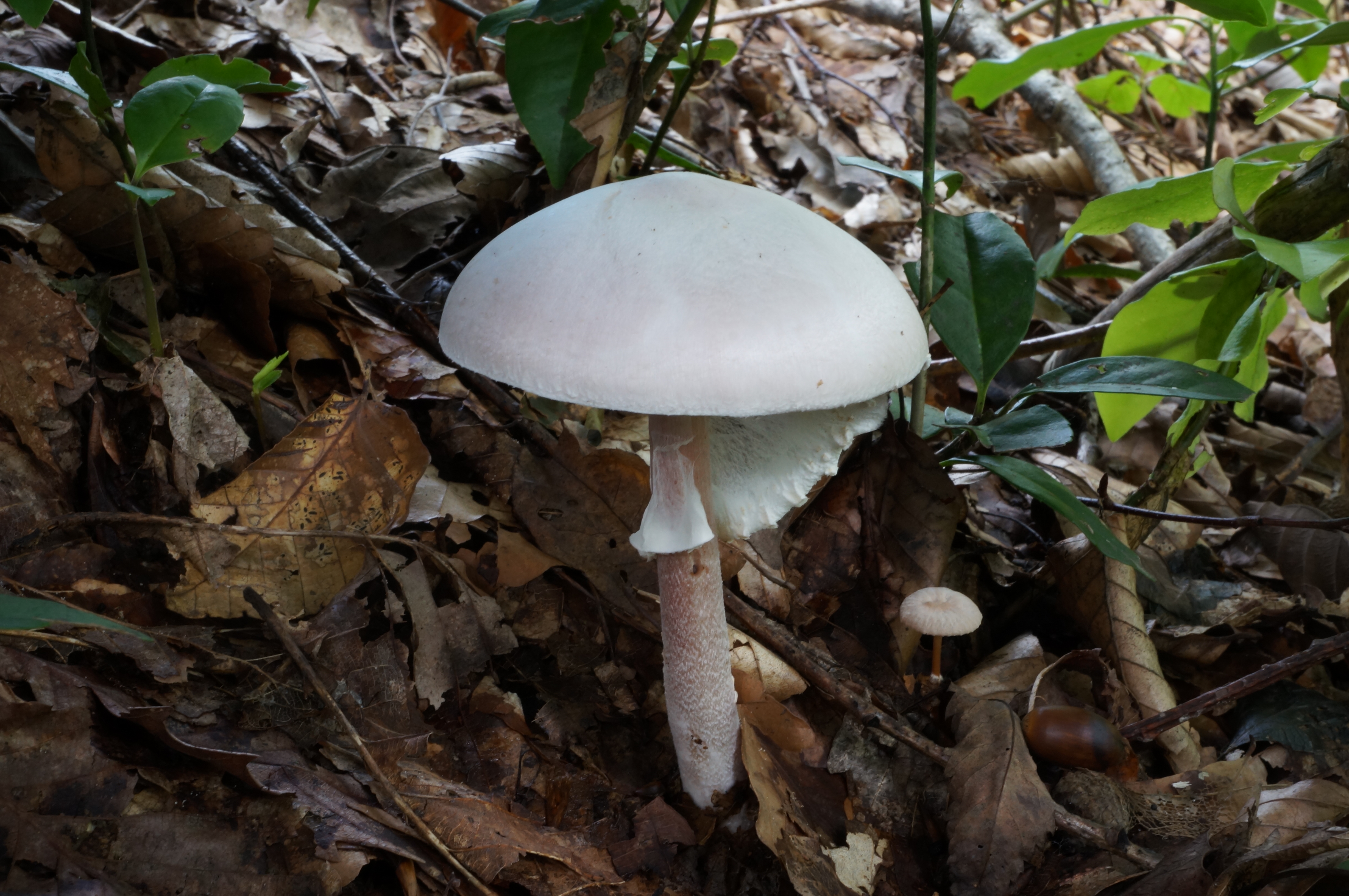 DSC06220.jpg